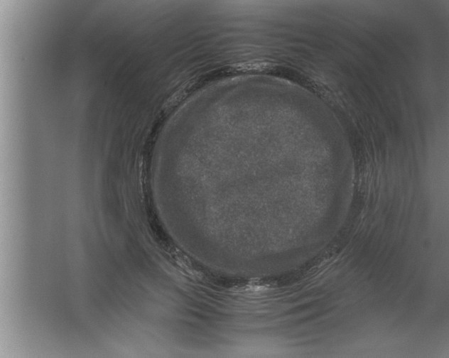 X0000067460647200604281829