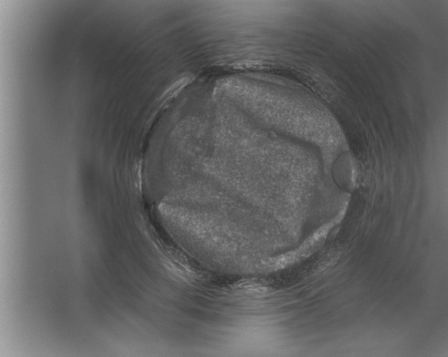 X0000067460648200604281829