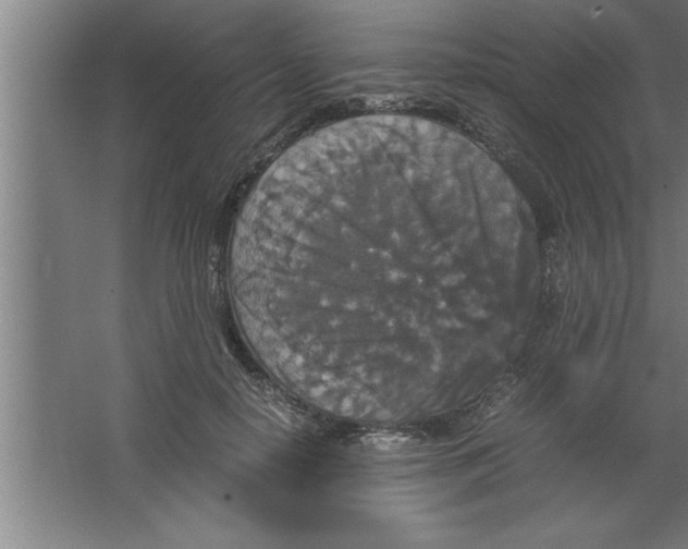 X0000067460650200604281829