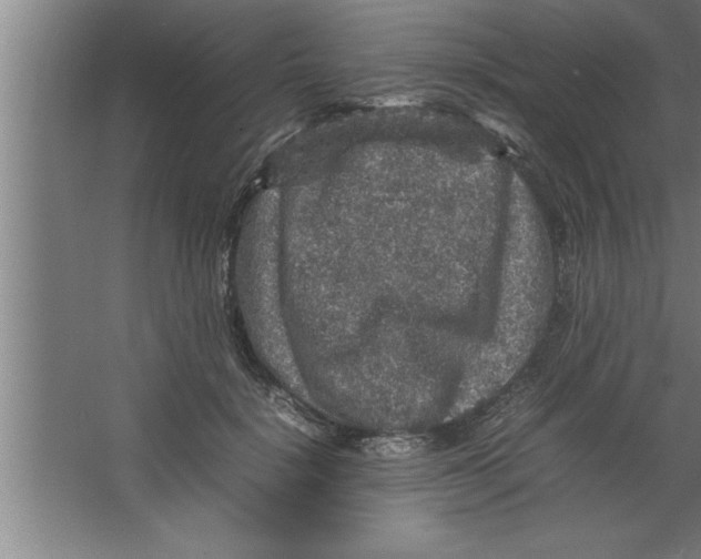 X0000067460652200604281829