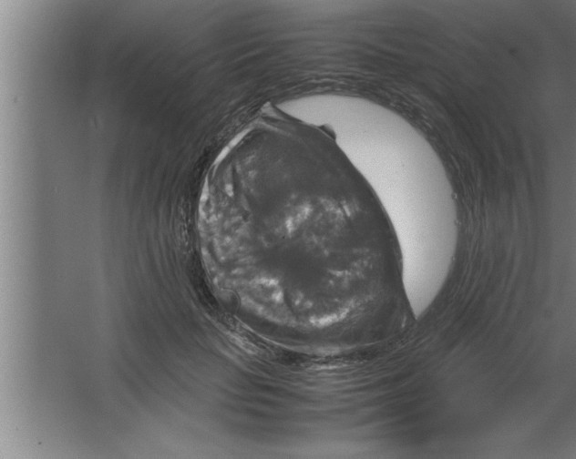 X0000067460653200604281829