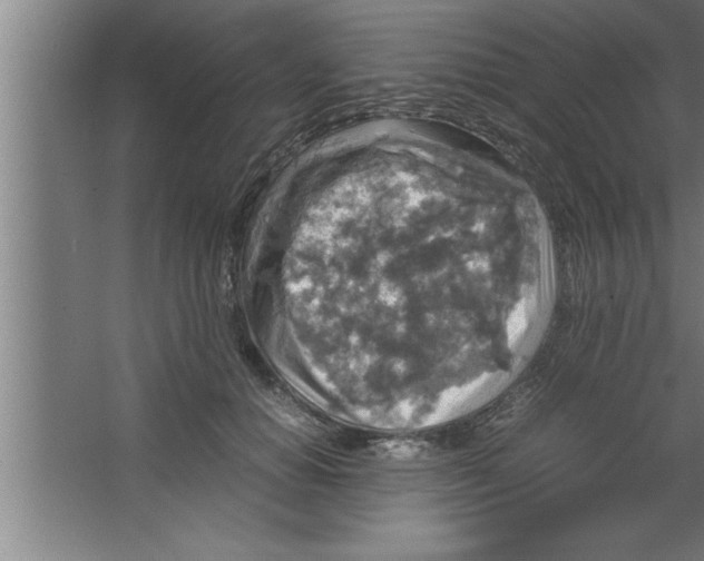 X0000067460654200604281829