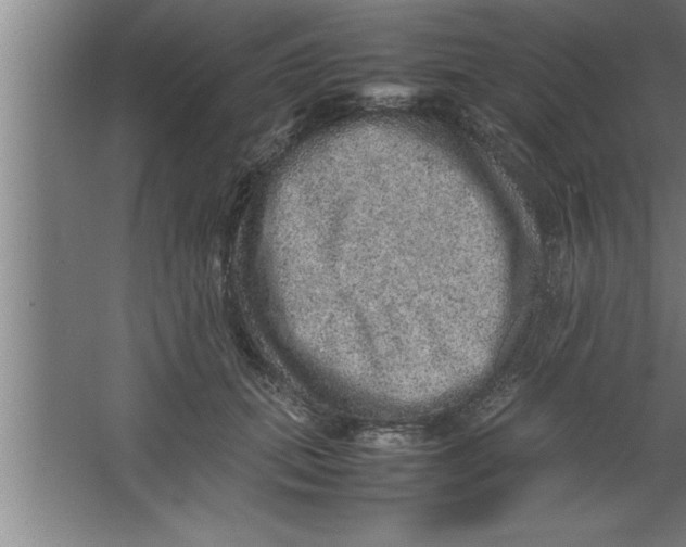 X0000067460655200604281829