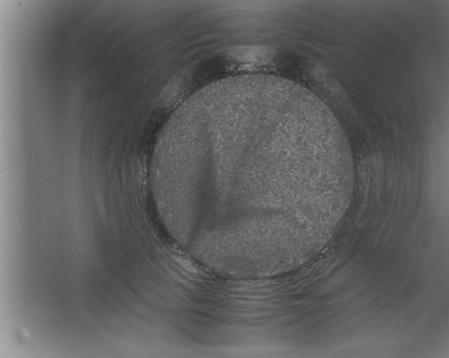 X0000067460657200604281829