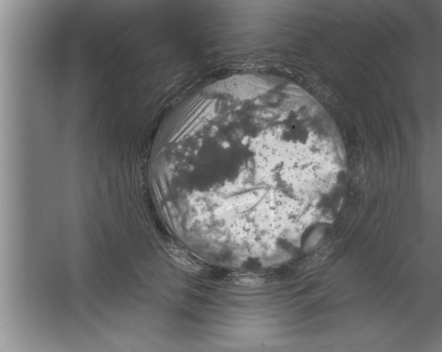 X0000067460658200604281829