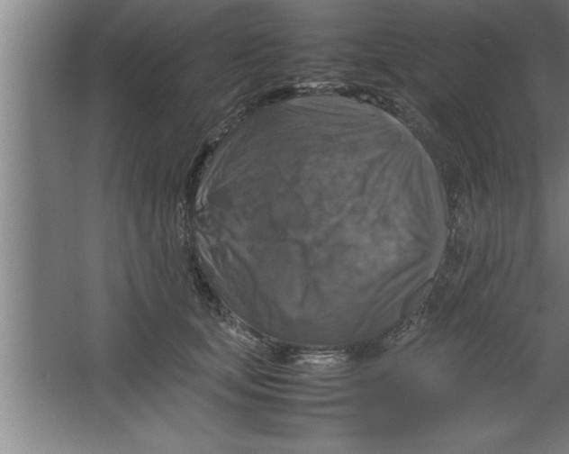 X0000067460659200604281829