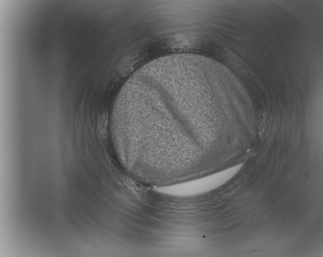 X0000067460660200604281829