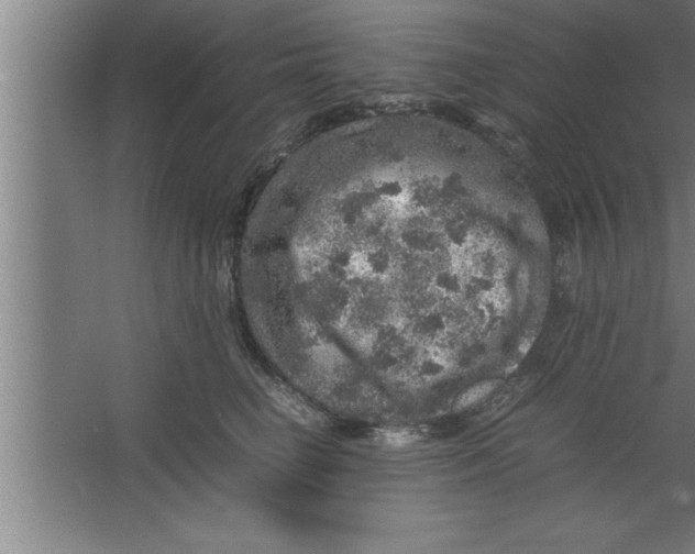 X0000067460662200604281829