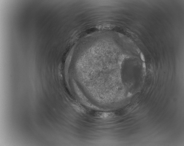 X0000067460663200604281829