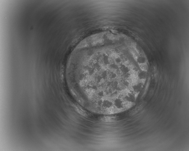 X0000067460664200604281829