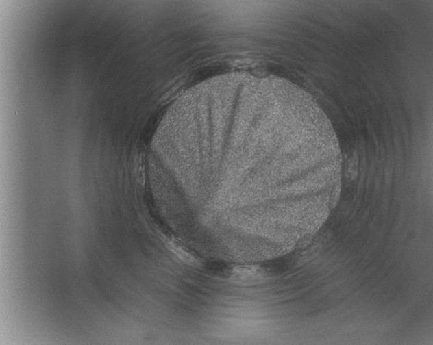 X0000067460666200604281829