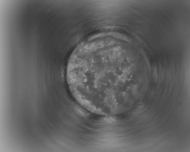 X0000067460668200604281830