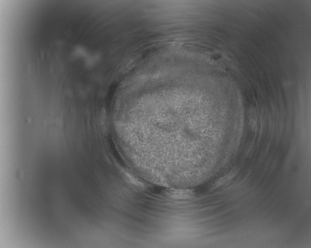 X0000067460670200604281830