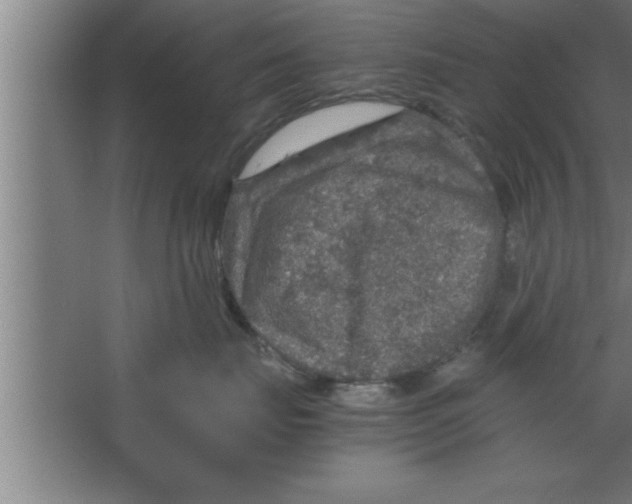 X0000067460671200604281830