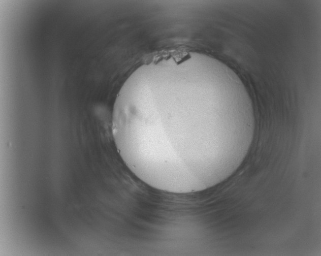 X0000067460672200604281830