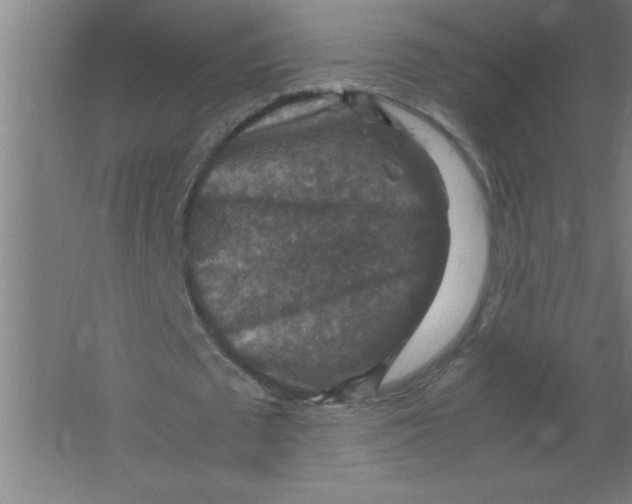 X0000067460673200604281829