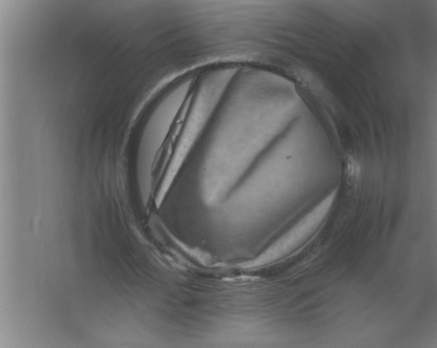 X0000067460676200604281829