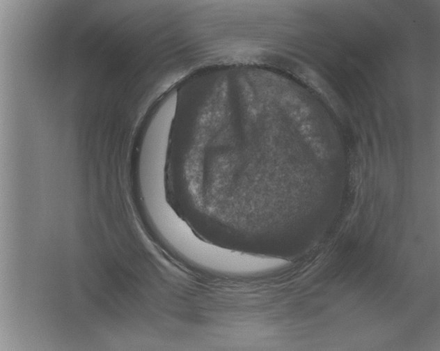 X0000067460677200604281829