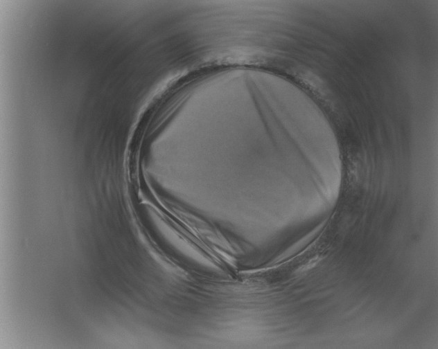 X0000067460678200604281829