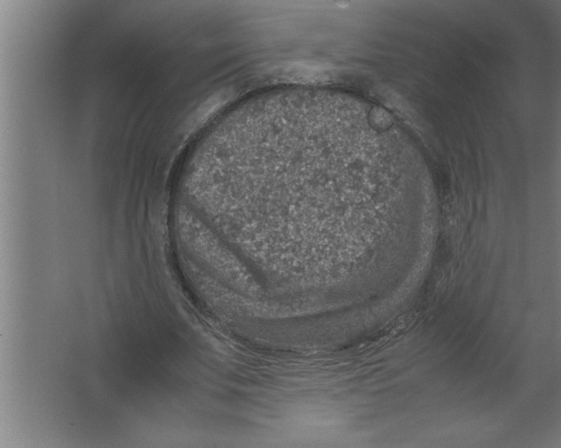 X0000067460679200604281829