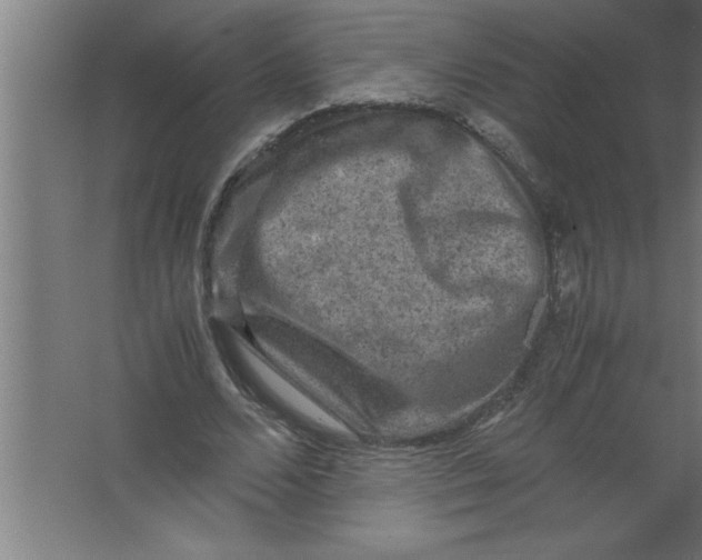 X0000067460680200604281829