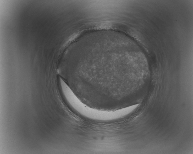 X0000067460681200604281829