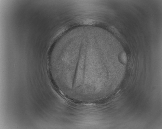 X0000067460683200604281829