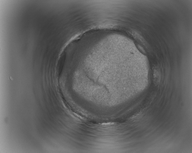 X0000067460684200604281829