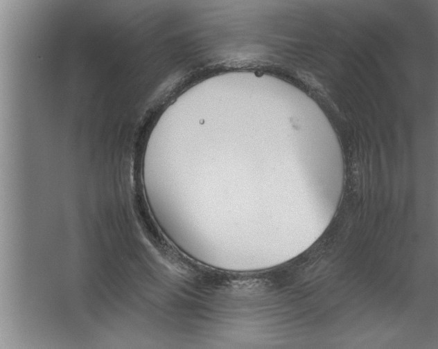 X0000067460686200604281829