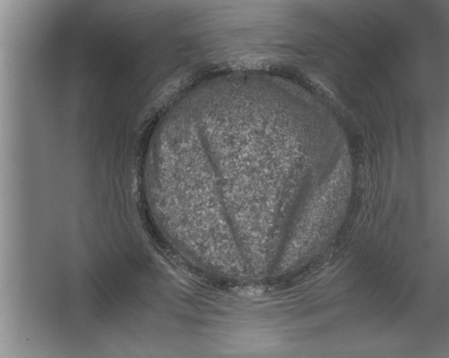 X0000067460687200604281829