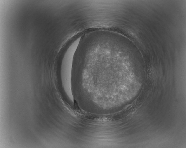 X0000067460688200604281829