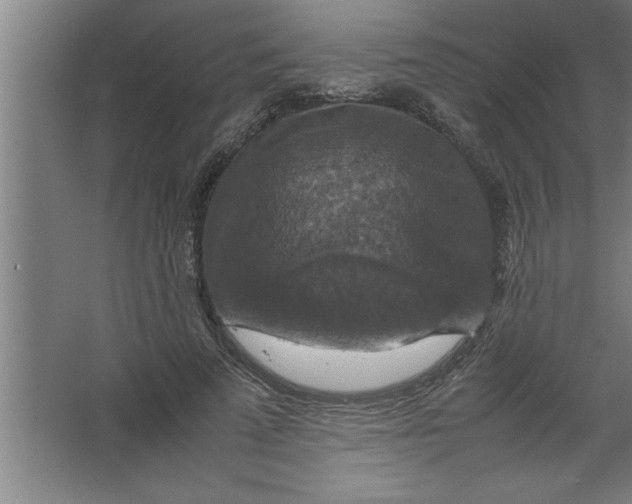 X0000067460689200604281828