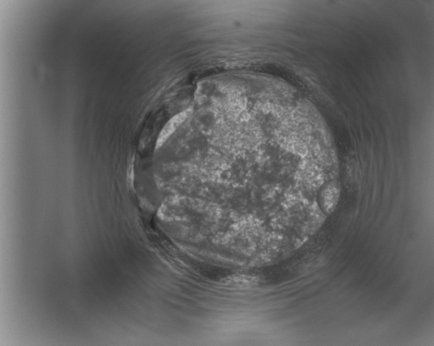 X0000067460691200604281828