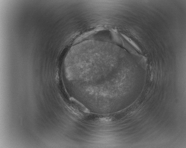 X0000067460692200604281828