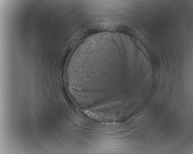 X0000067460693200604281828