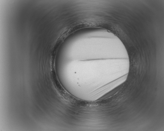 X0000067460694200604281828