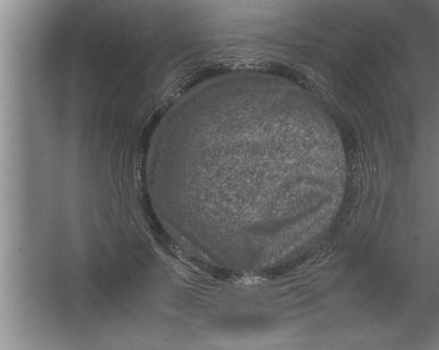 X0000067460695200604281828