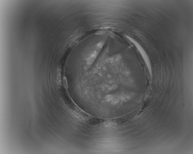 X0000067460696200604281828