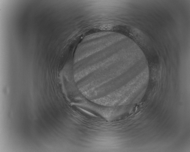 X0000067460697200604281828