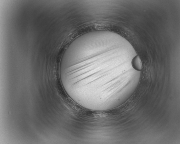 X0000067460698200604281828