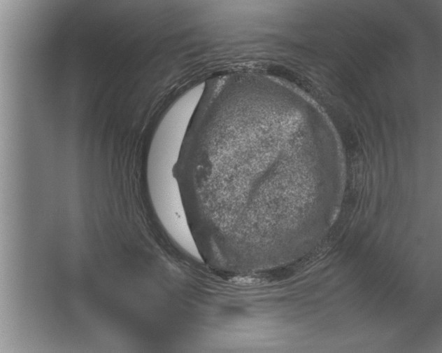 X0000067460699200604281828