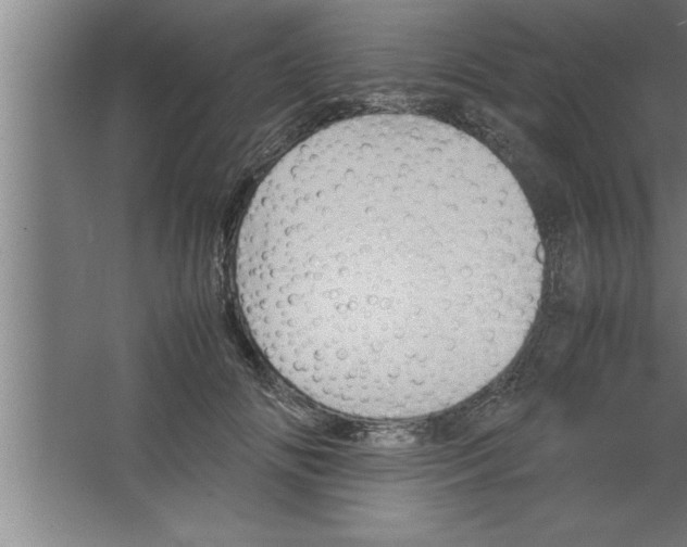 X0000067460702200604281828