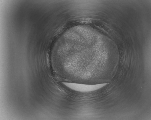 X0000067460704200604281828