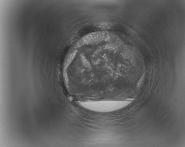 X0000067460707200604281828