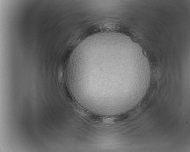 X0000067460709200604281828