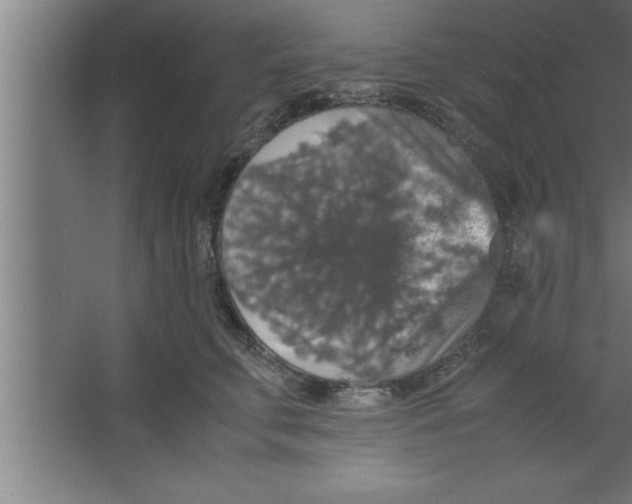 X0000067460711200604281828