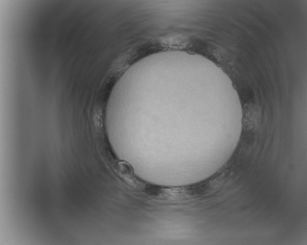 X0000067460713200604281828