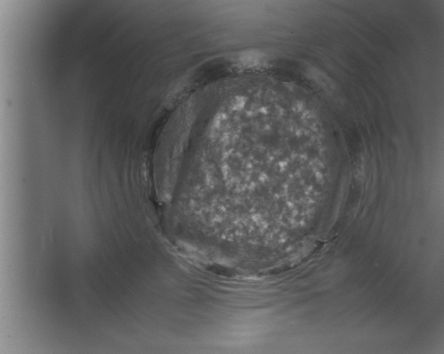 X0000067460715200604281828