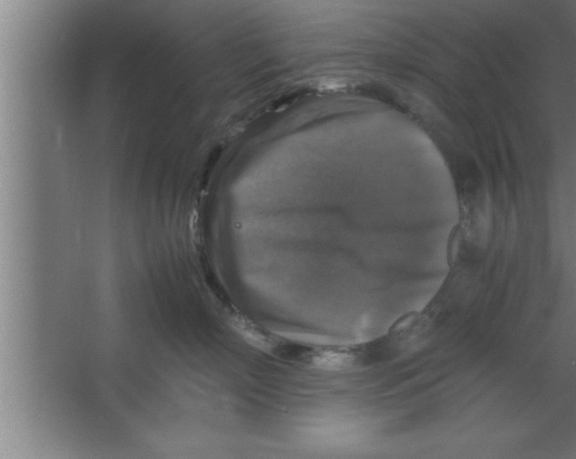 X0000067460718200604281828