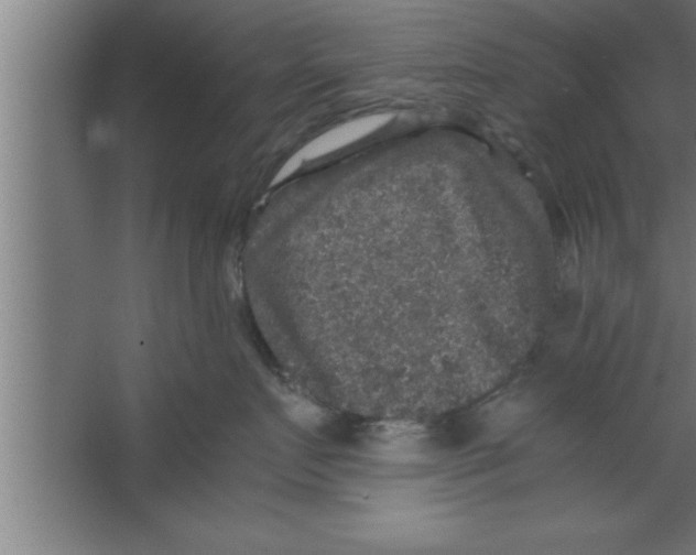 X0000067460719200604281828